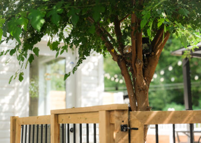 Wood and Iron Gate