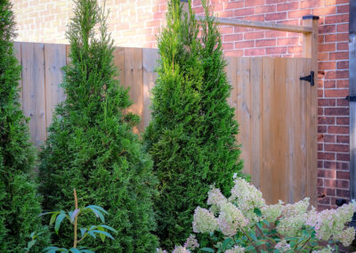 Fence and gate in garden