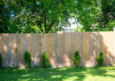 New Fence
